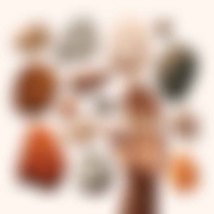 Various rocks of similar size and rounded shape on a hand.